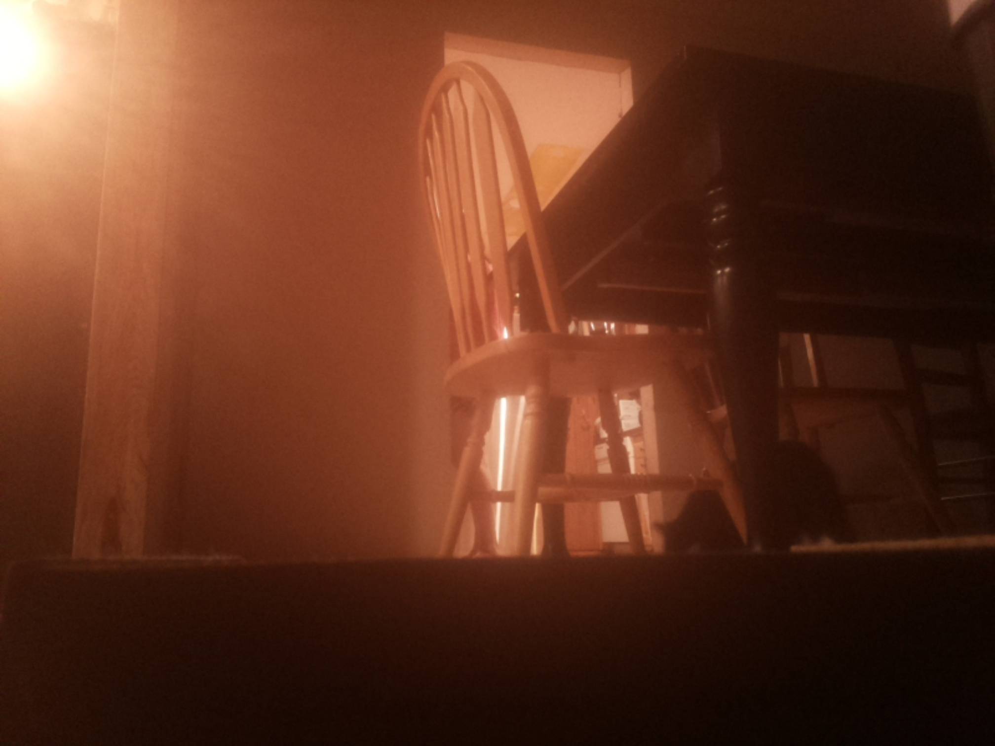 Low view of table, chair, and cat.